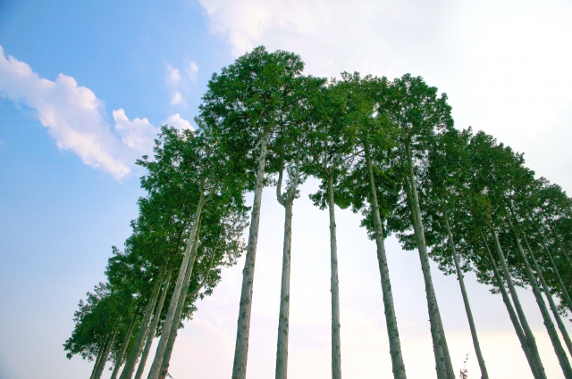 冥利に尽きるのイメージ写真