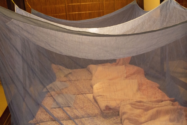 蚊帳の外のイメージ写真