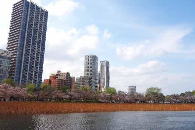 春うららのイメージ写真