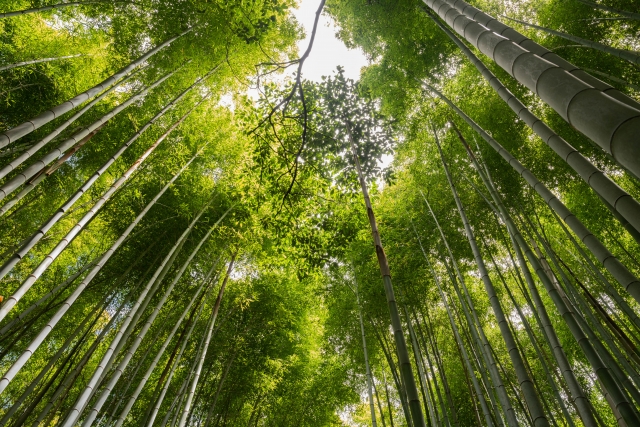 冥利に尽きるのイメージ写真