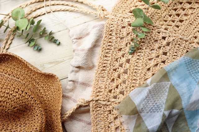 蚊帳の外のイメージ写真