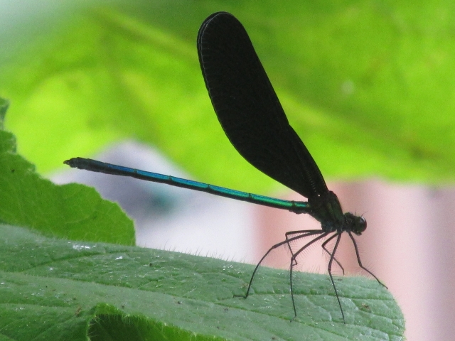 冥利に尽きるのイメージ写真