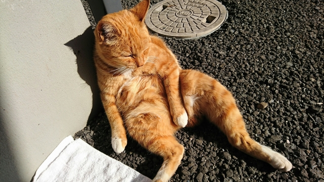 怠惰のイメージ写真