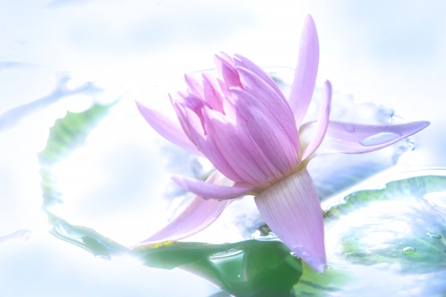 冥利に尽きるのイメージ写真