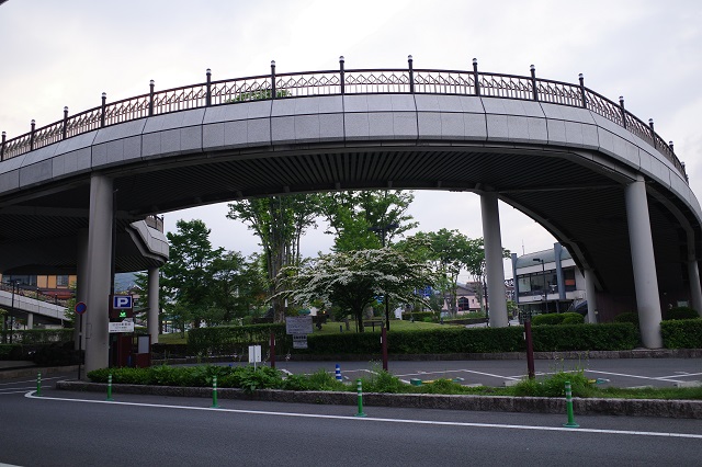 駐車場を正面に見た風景写真