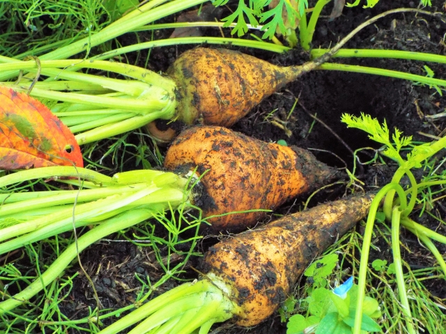 時期尚早のイメージ写真