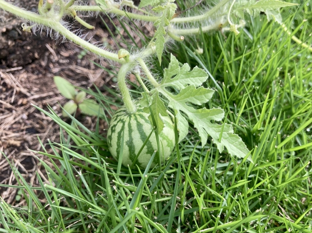 時期尚早のイメージ写真