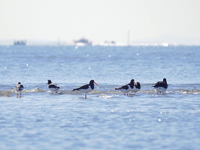 立つ鳥跡を濁さずのイメージ写真