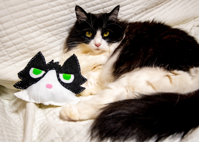 似て非なるもののイメージ写真