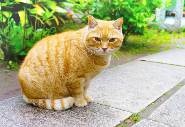 沈黙は金のイメージ写真