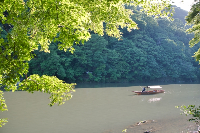 「船頭多くして船山に登る」のイメージ写真