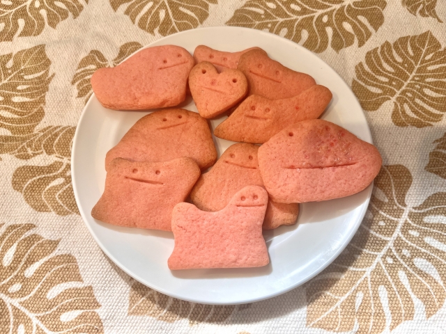 似て非なるもののイメージ写真