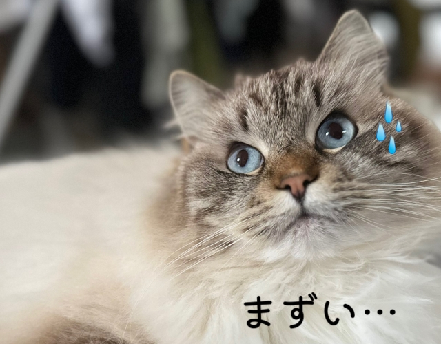 転ばぬ先の杖のイメージ写真