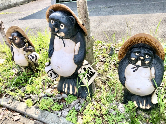 捕らぬ狸の皮算用のイメージ写真