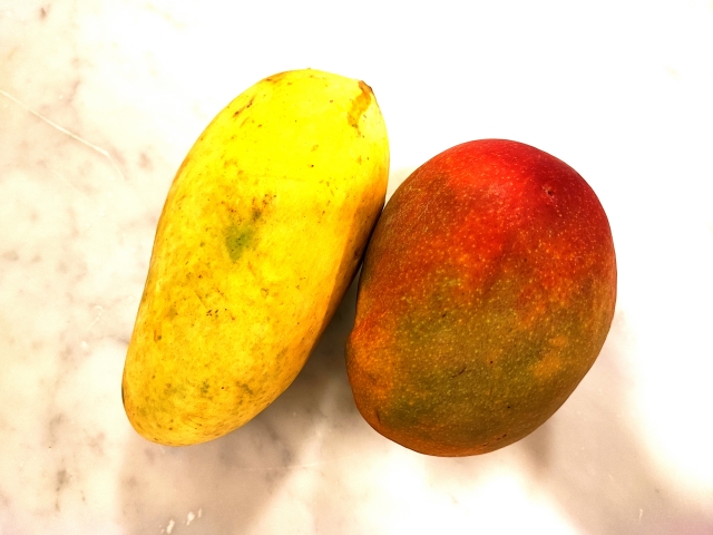 似て非なるもののイメージ写真