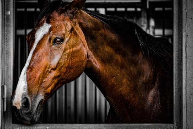 行き掛けの駄賃のイメージ写真