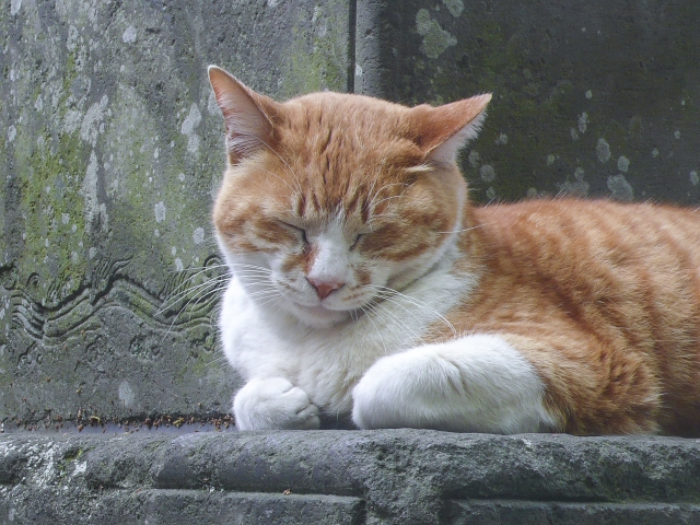 沈黙は金のイメージ写真