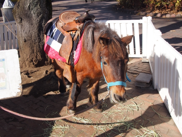 行き掛けの駄賃のイメージ写真