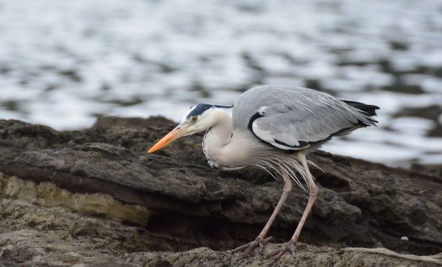 立つ鳥跡を濁さずのイメージ写真