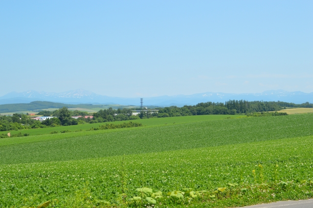 フェードアウトのイメージ写真