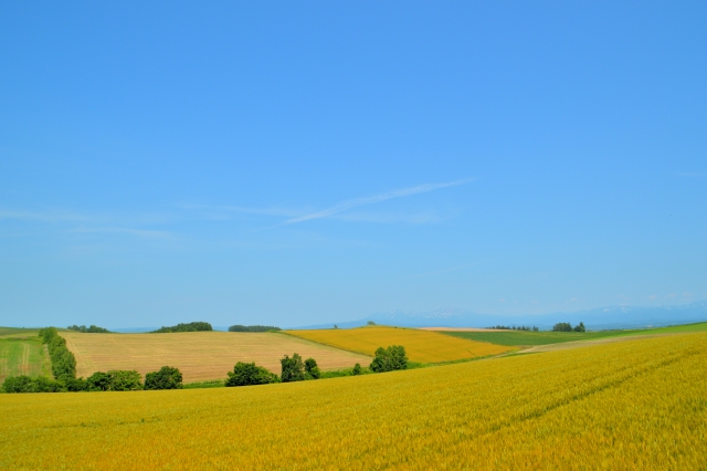 フェードアウトのイメージ写真