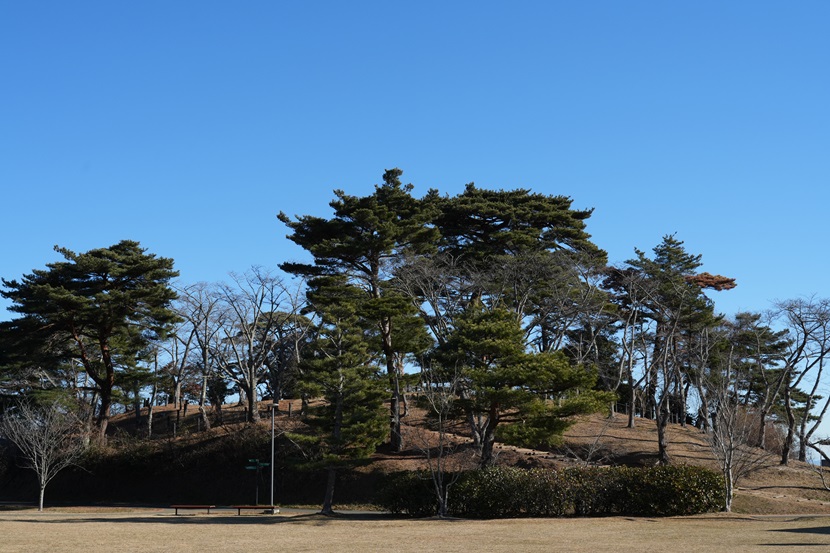 西行戻しの松公園の写真
