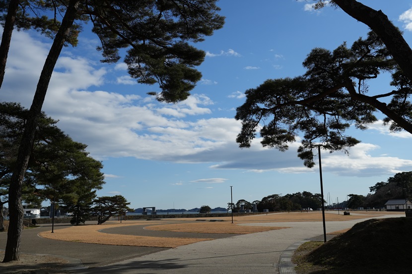 松島さん策の風景写真