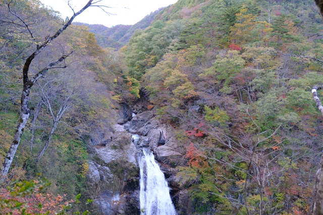秋保大滝の風景写真