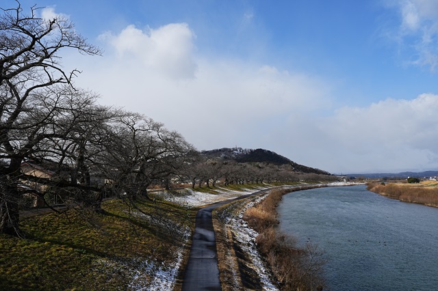 一目千本桜の咲く前の3月初めの風景