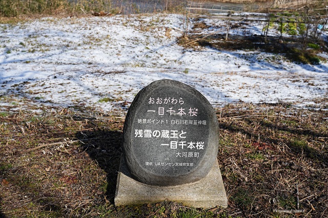 一目千本桜の咲く前の3月初めの風景