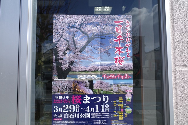 一目千本桜のの桜祭りのポスター