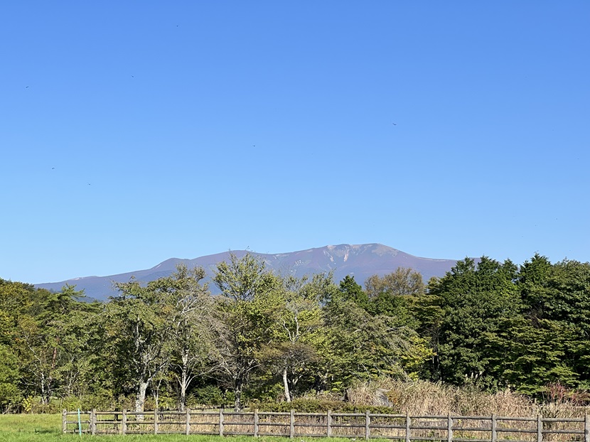 栗駒山の秋の風景