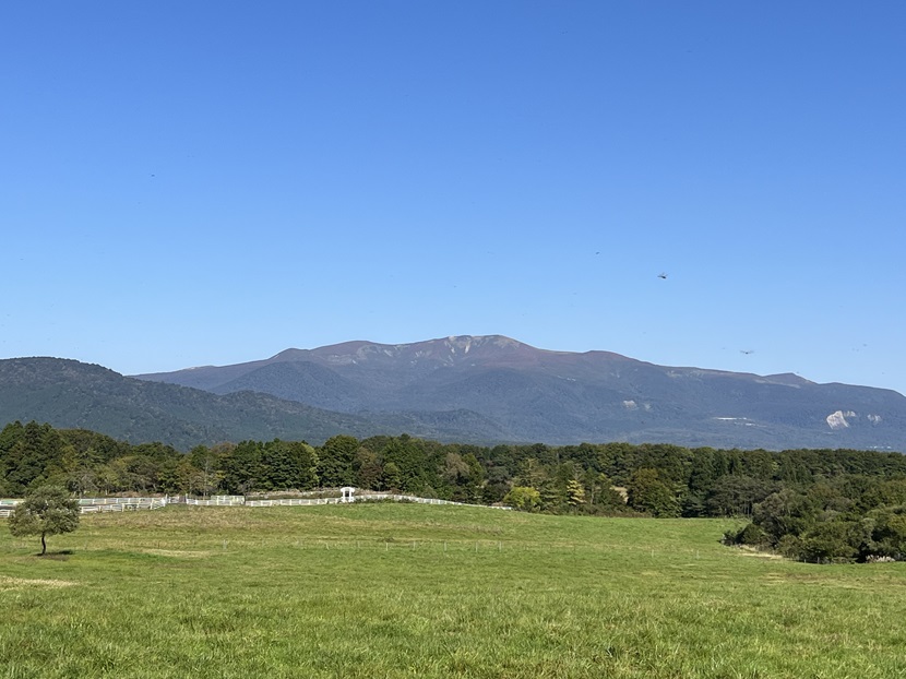 栗駒山の秋の風景