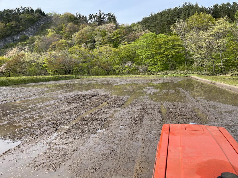 アイフォン13proの写真：代掻き