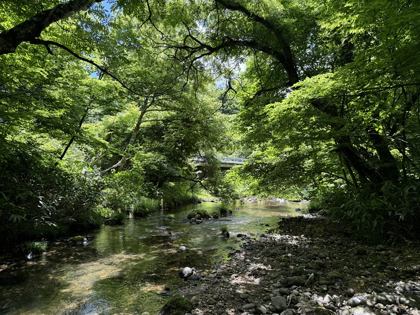 渓流釣りの写真：iPhone 15 Proで撮影の渓流の写真