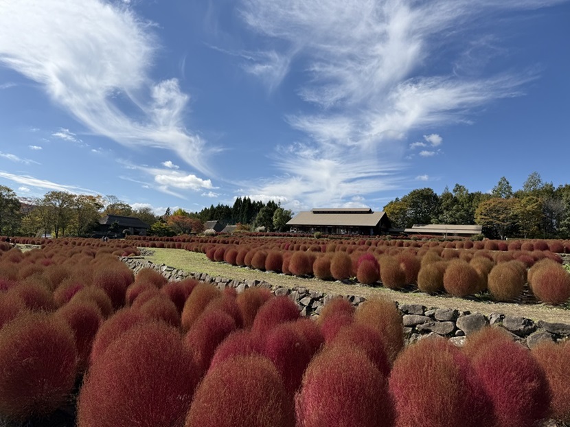 陸奥湖畔公園