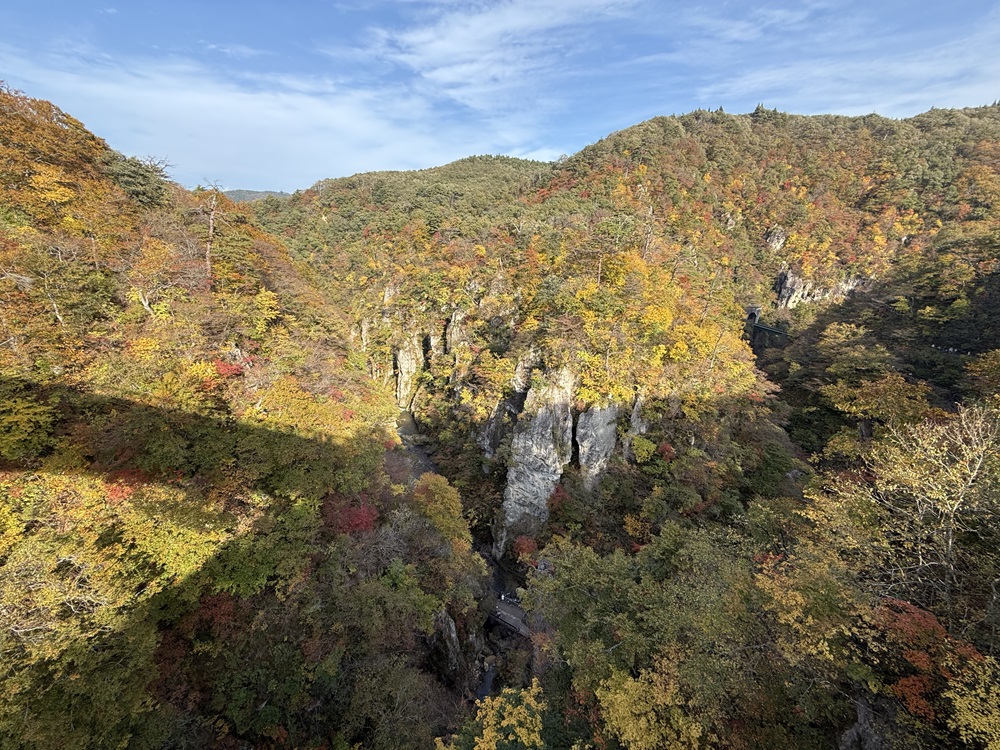 鳴子峡の紅葉２０２４