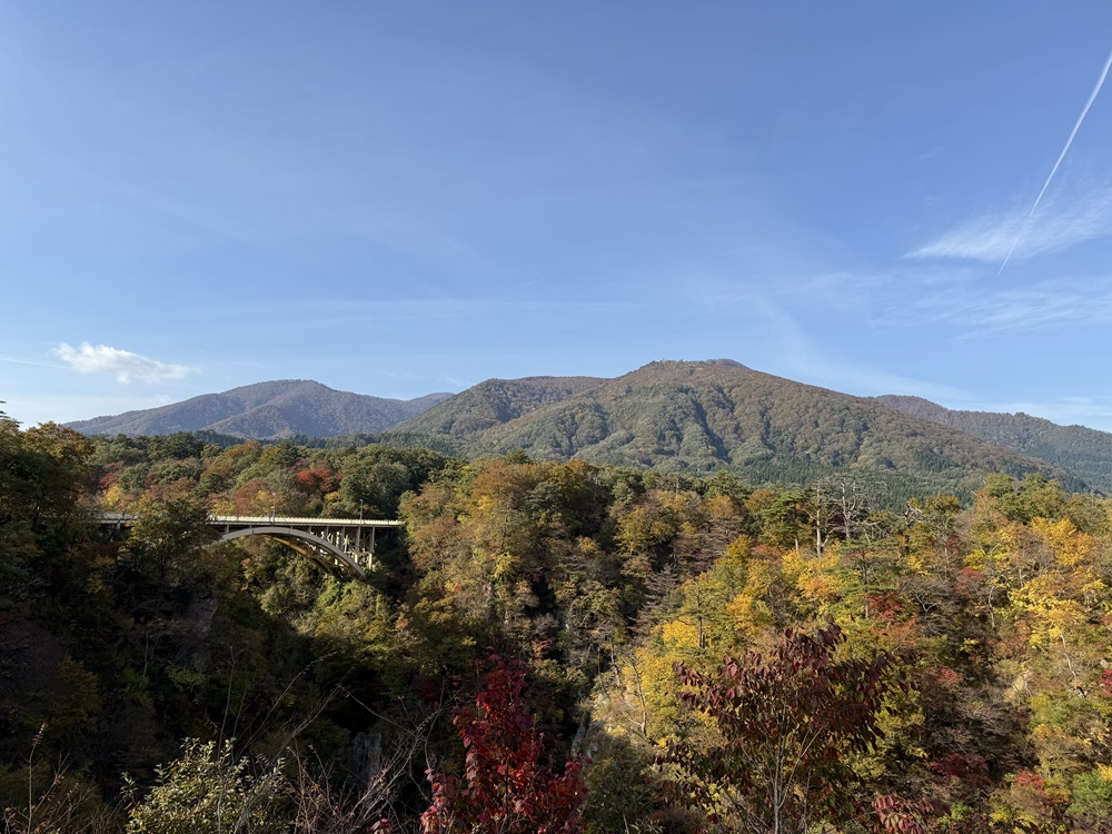 鳴子峡の紅葉２０２４