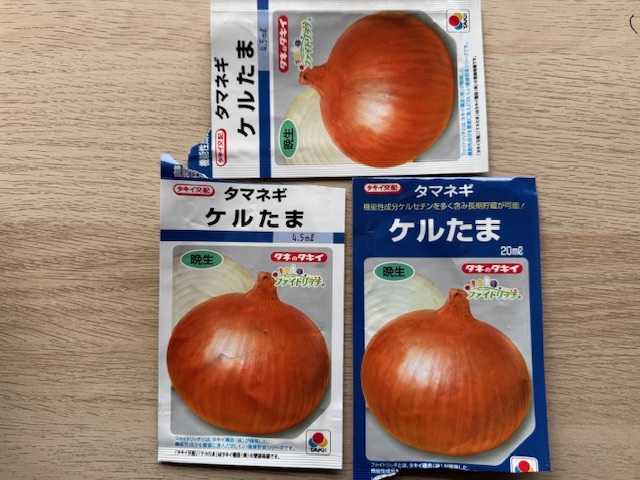 玉ねぎの苗