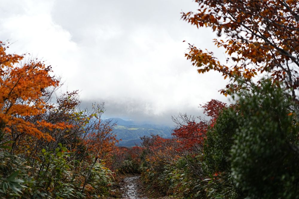 栗駒山の紅葉2025年10月17日