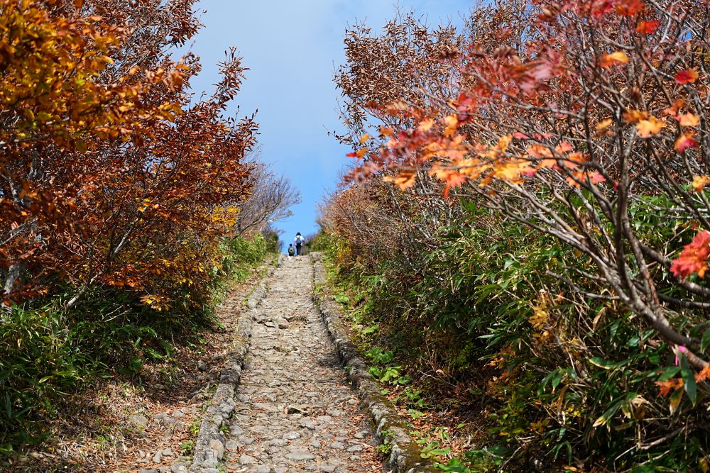 栗駒山の紅葉2025年10月17日