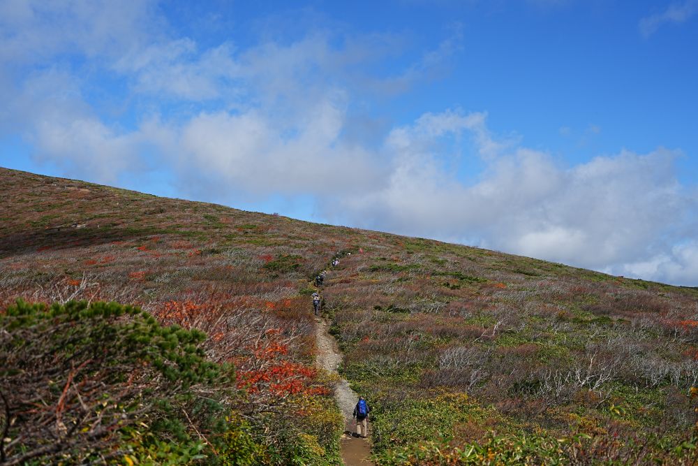 栗駒山の紅葉2025年10月17日