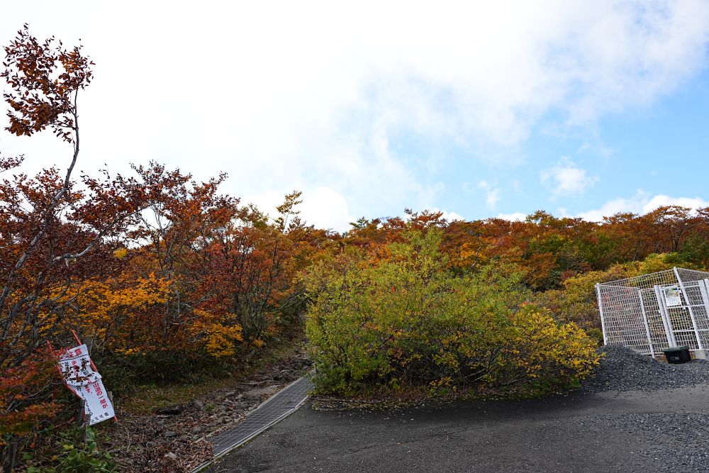 栗駒山中央コースの入り口登山道の風景